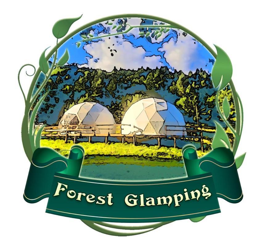 Forest Glamping Brasov Luaran gambar