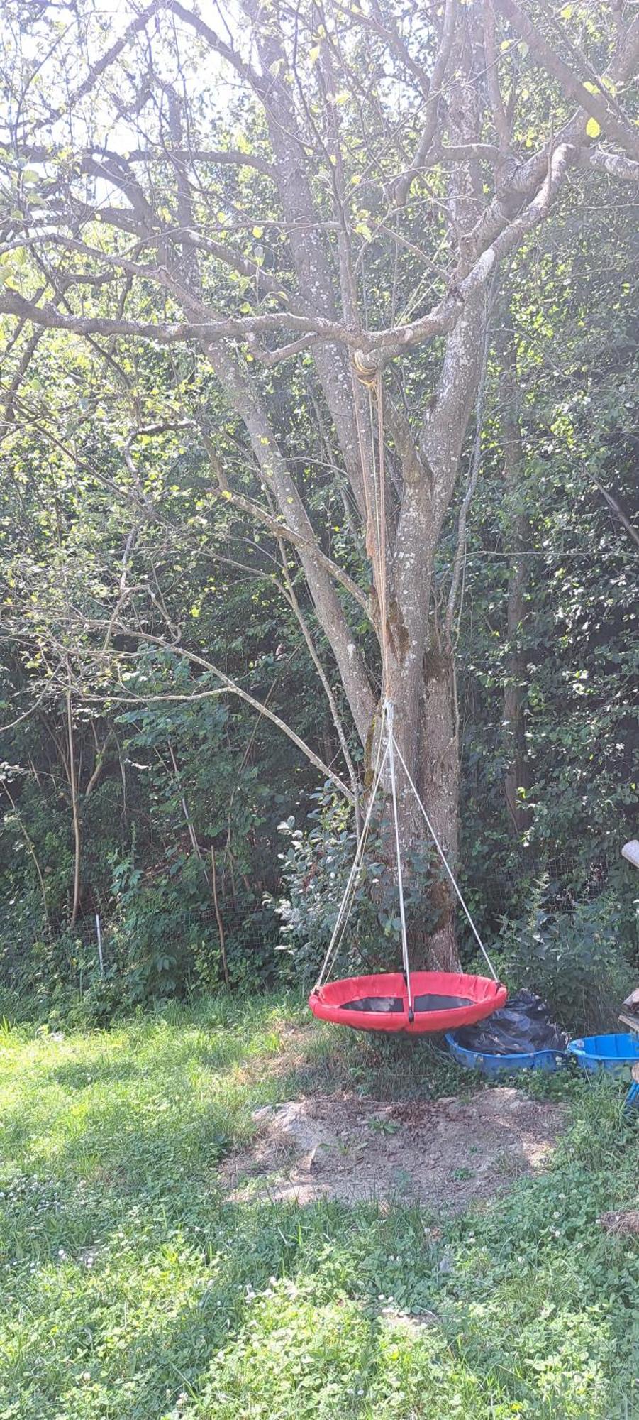 Forest Glamping Brasov Luaran gambar