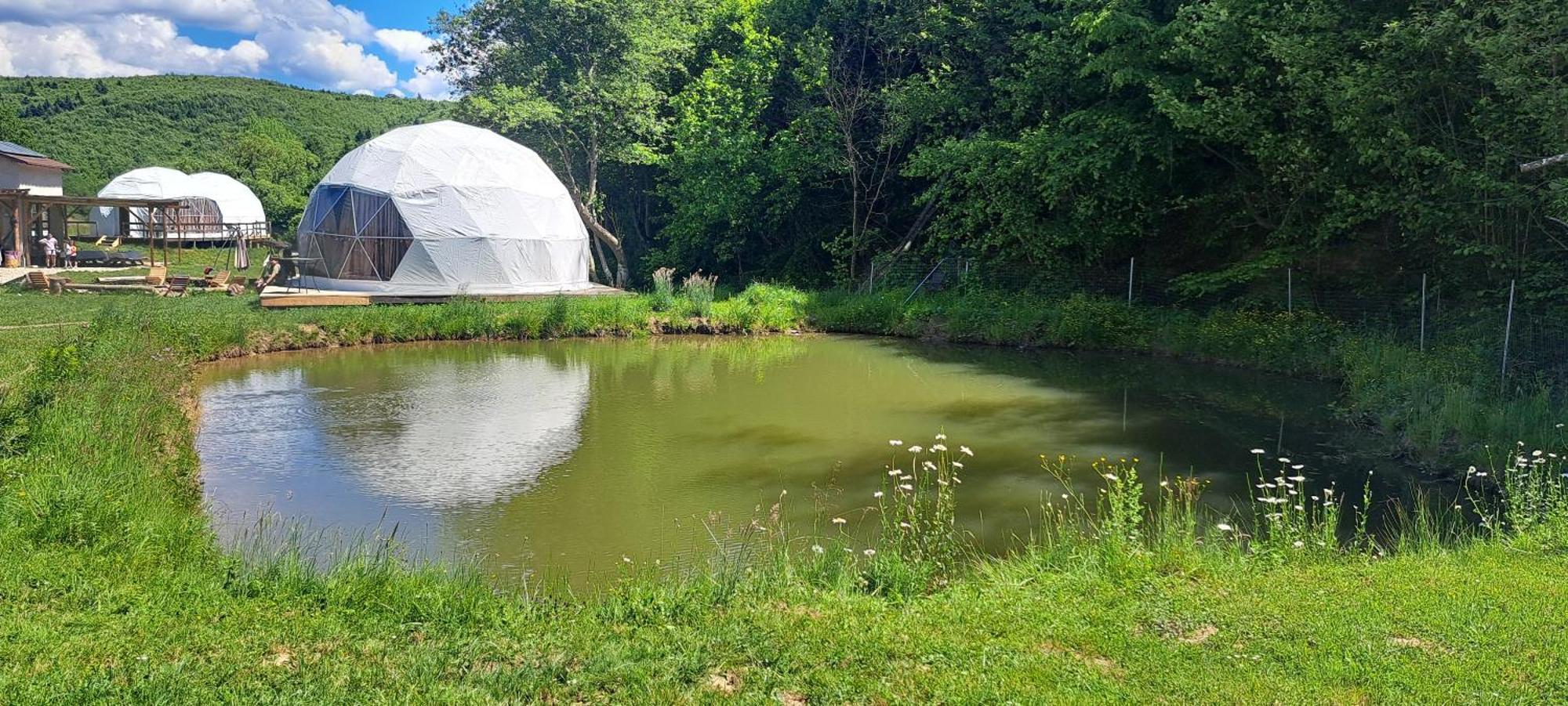 Forest Glamping Brasov Luaran gambar