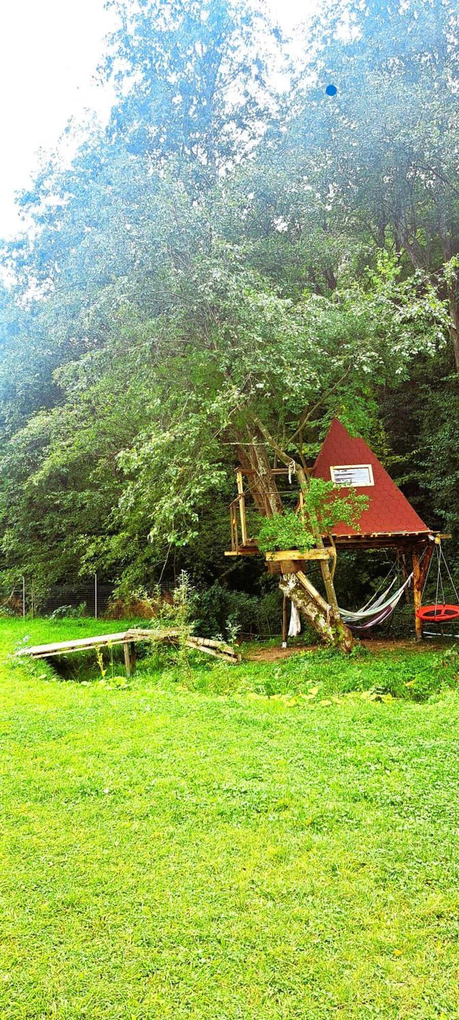 Forest Glamping Brasov Luaran gambar